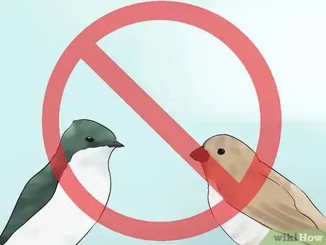 Image titled Attract Purple Martins Step 14