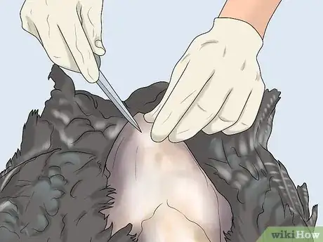 Image titled Dress a Turkey Step 7