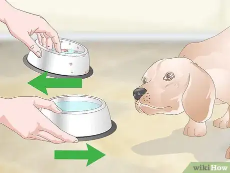 Image titled Improve the Quality of Your Pet's Drinking Water Step 5
