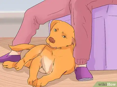 Image titled Identify and Correct Unwanted Dog Behaviors Step 16