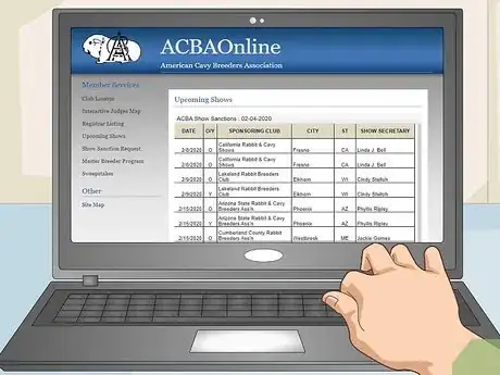 Image titled Prepare a Guinea Pig for Show Step 1