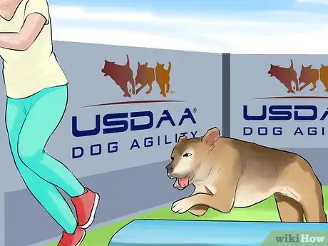 Image titled Get Your Dog to Jump Poles Step 14