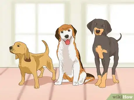 Image titled Introduce a Dog to Pet Chickens Step 14