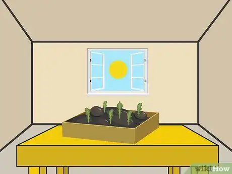 Image titled Plant Arugula Step 6