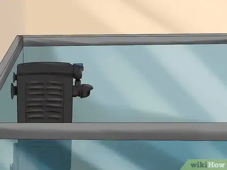 Image titled Care for a Seahorse Step 5