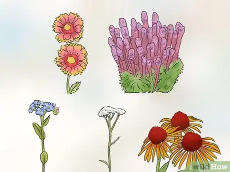 Image titled Plant Wildflowers Step 2