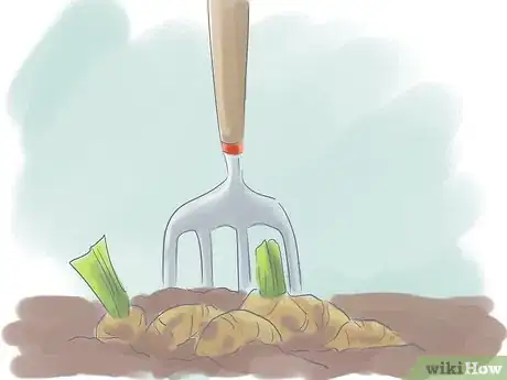 Image titled Divide Dwarf Iris Step 3