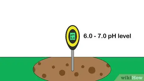 Image titled Plant Tritoma Step 3