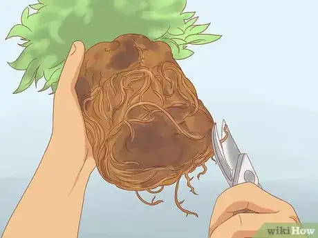 Image titled Prune Jasmine Step 13