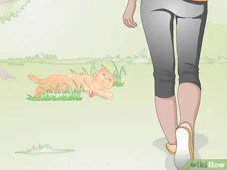 Image titled Approach a Sick or Injured Dog or Cat Step 4