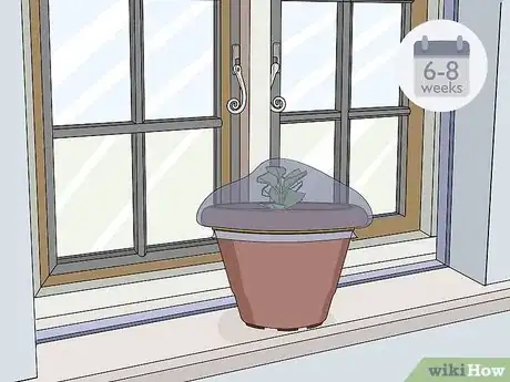 Image titled Take Softwood Cuttings Step 14