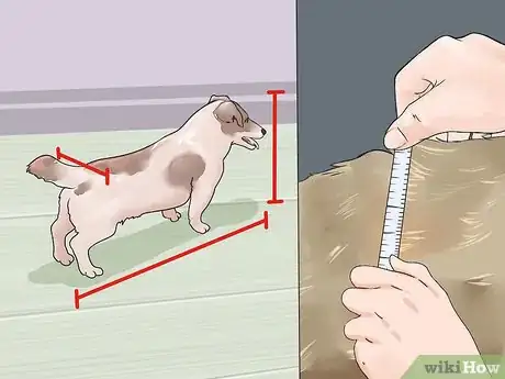 Image titled Choose Furniture Ramps for Dogs Step 1