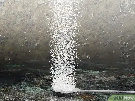 Image titled Measure Pond Water Temperature Step 12