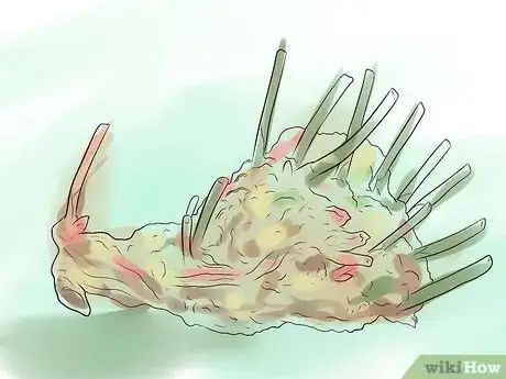 Image titled Plant Peonies Step 20