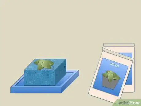 Image titled Make One Plant Hydroponics Step 12