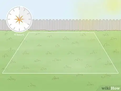 Image titled Grow a Topiary Step 2