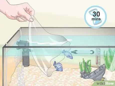 Image titled Build a Freshwater Predator Fish Aquarium Step 13