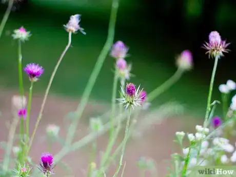 Image titled Cope in the World of Ego Step 1