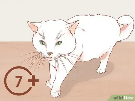 Image titled Find a Friendly Kitty Step 9