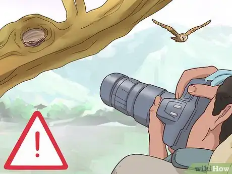 Image titled Photograph Owls Step 19