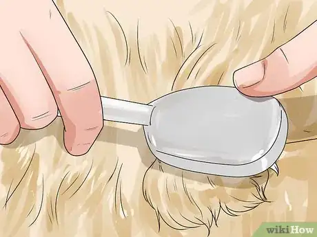 Image titled Brush a Long Haired Dog Step 15