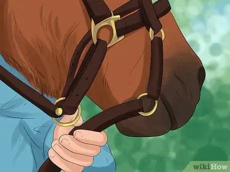 Image titled Put a Lead Rope on a Horse Step 15