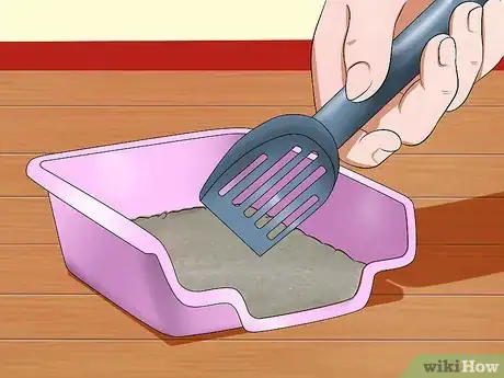 Image titled Toilet Train a Hamster Step 11