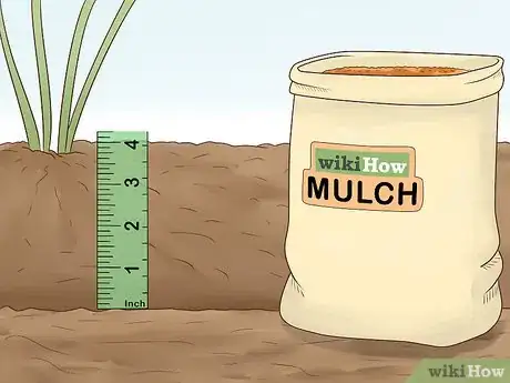 Image titled Grow Herbs Outdoors Step 14