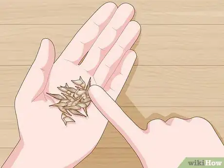 Image titled Buy Bamboo Step 7