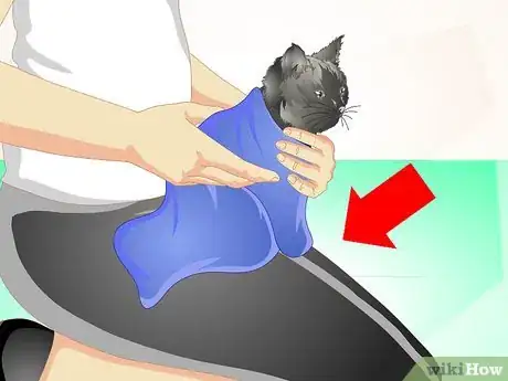 Image titled Deliver Oral Medication to Cats Step 11