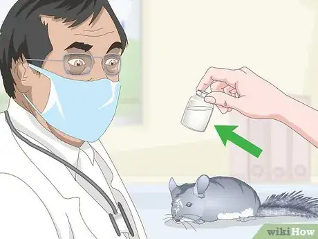 Image titled Avoid Poisoning a Chinchilla Step 14