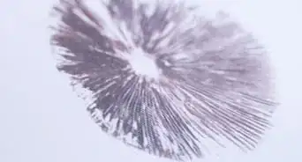 Make a Mushroom Spore Print