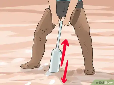 Image titled Dig Pacific Razor Clams Step 11