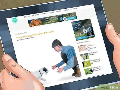 Image titled Introduce a New Dog in a Not Neutral Area Step 1