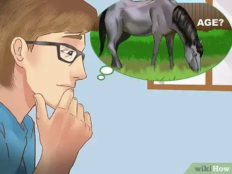 Image titled Buy a Trail Horse Step 1