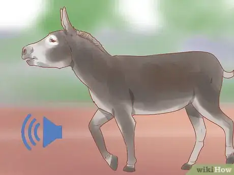 Image titled Check Whether Your Horse or Donkey Needs to See a Dentist Step 10