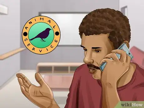 Image titled Clean Oil off Birds Step 11