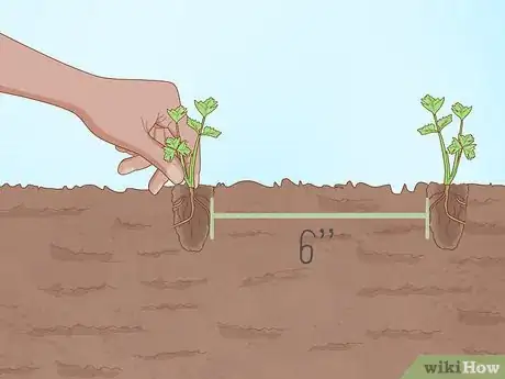 Image titled Grow a Garden Step 8