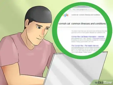 Image titled Identify a Cornish Rex Step 14