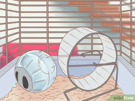 Image titled Introduce a New Hamster to Your Home Step 4
