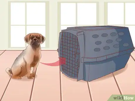 Image titled Train Puggles Step 11