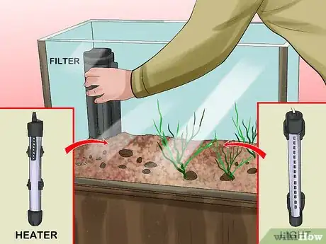 Image titled Buy a Fish for a Child Step 13