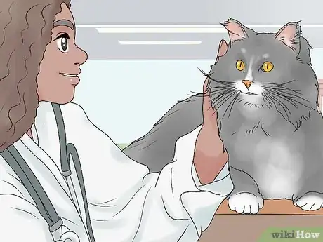 Image titled Diagnose and Treat Chylothorax in Cats Step 5