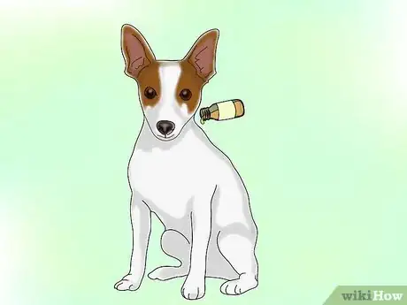 Image titled Calm a Dog With Natural Remedies Step 4