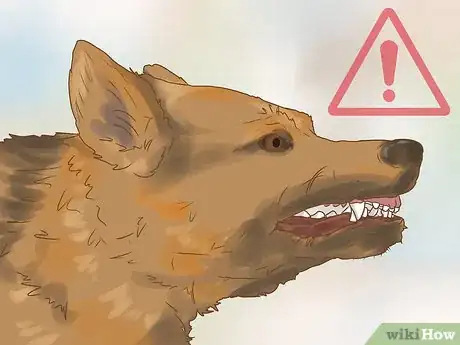 Image titled Evaluate a Dog's Temperament Before Choosing Step 8