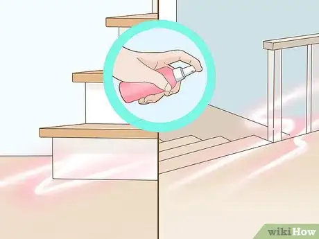 Image titled Train a Blind Dog to Handle the Stairs Step 17