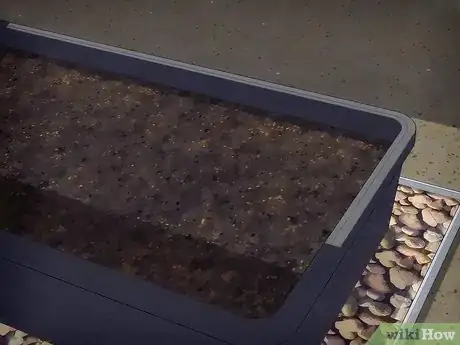 Image titled Grow Snowball Trees Step 11