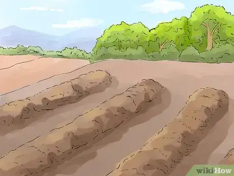 Image titled Grow Carrots in Nigeria Step 4