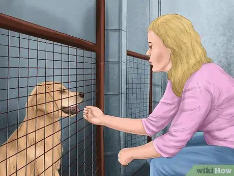 Image titled Pick a Healthy Adult Dog Step 1