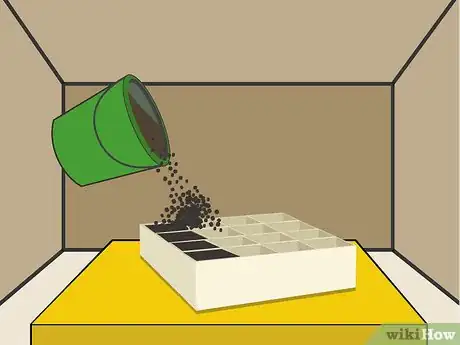 Image titled Grow Chrysanthemums Step 06